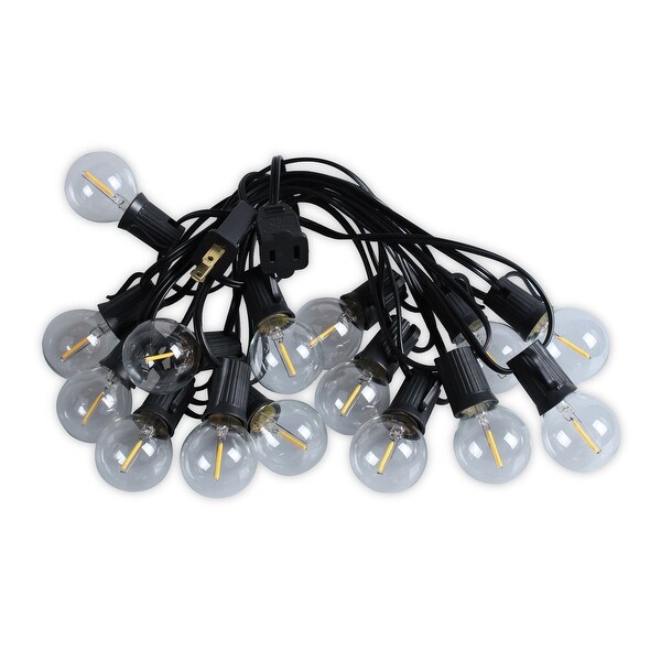 LEDPAX 50-Light 50 ft. Indoor and Outdoor LED String Light， Black (2 Pack) - 50 Foot Shopping - The Best Deals on String Lights | 39699986