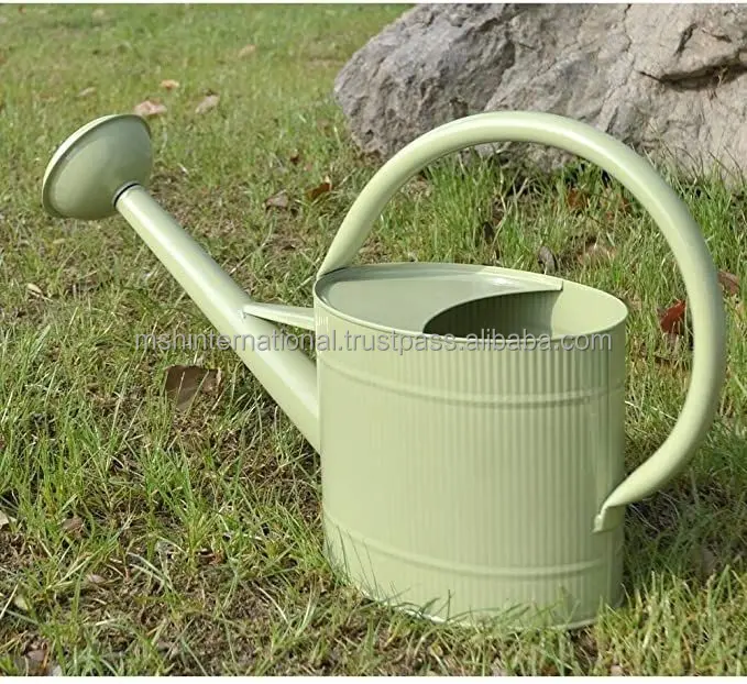 Garden Galvanized Metal Steel Watering Can 4 Litre Brass Rose with Copper Accents Antique Sprinkle Head for Home Garden