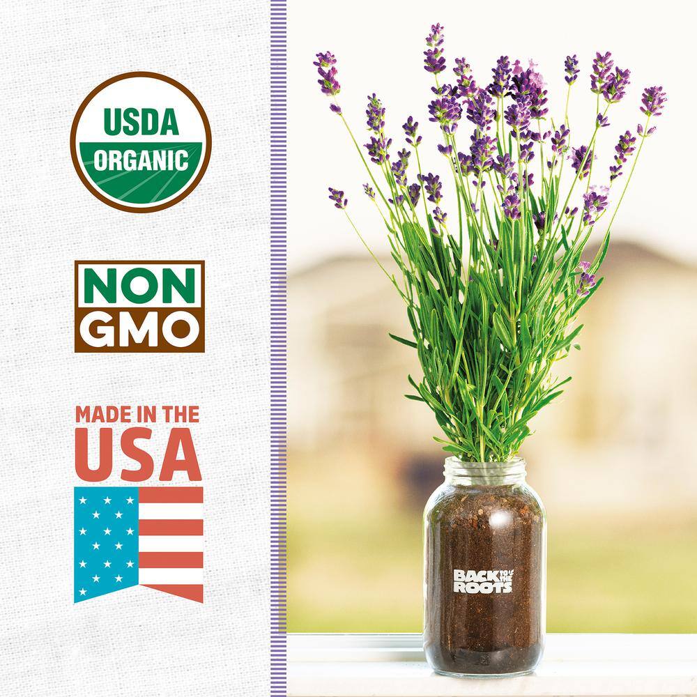 Back to the Roots Organic Lavender Grow Kit 25500
