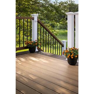 MoistureShield Meridian CoolDeck Shoreside 1 in. x 5.4 in. x 20 ft. Solid Edge Composite Deck Board 13550951