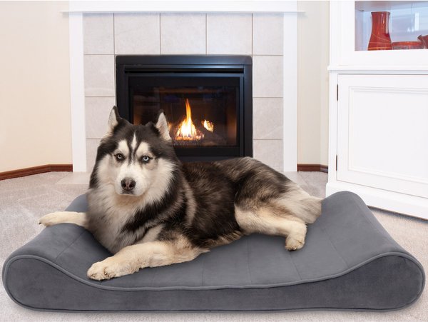 FurHaven Microvelvet Luxe Lounger Cooling Gel Dog Bed w/Removable Cover