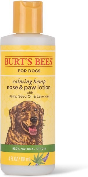 Burt's Bees Calming Hemp Paw and Nose Lotion Dog， 4-oz bottle