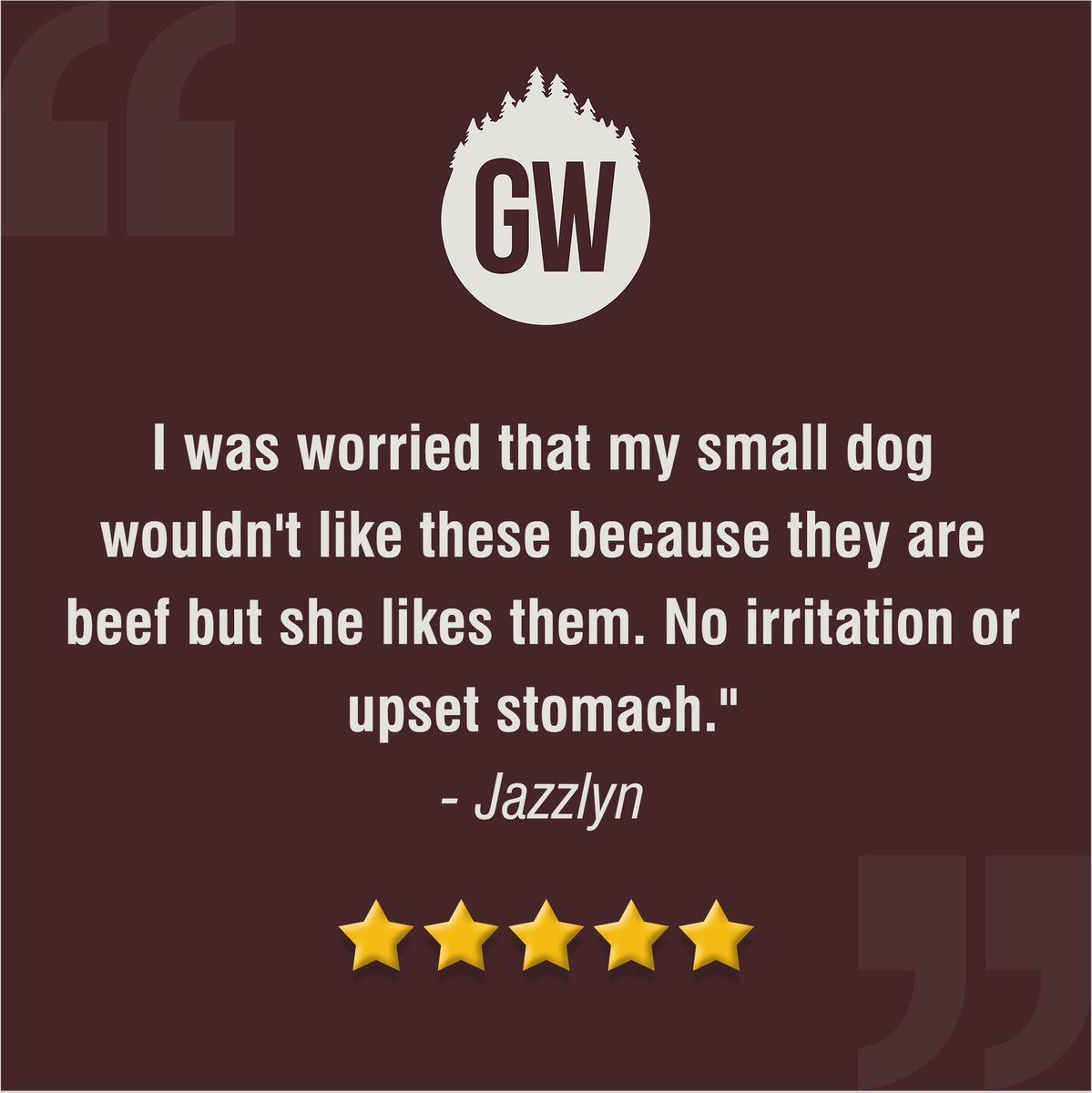 Greater Wild Premium Beef Flavored Jerky Dog Treats