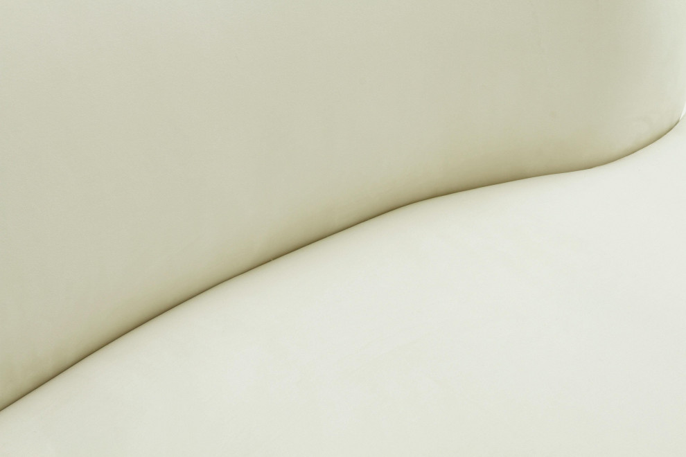 Cannellini Velvet Sofa   Transitional   Sofas   by TOV Furniture  Houzz