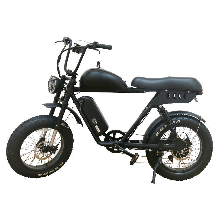 Superior Quality Electric Fat Tire Bike Cycle for Man Bicycle Electric Ebike