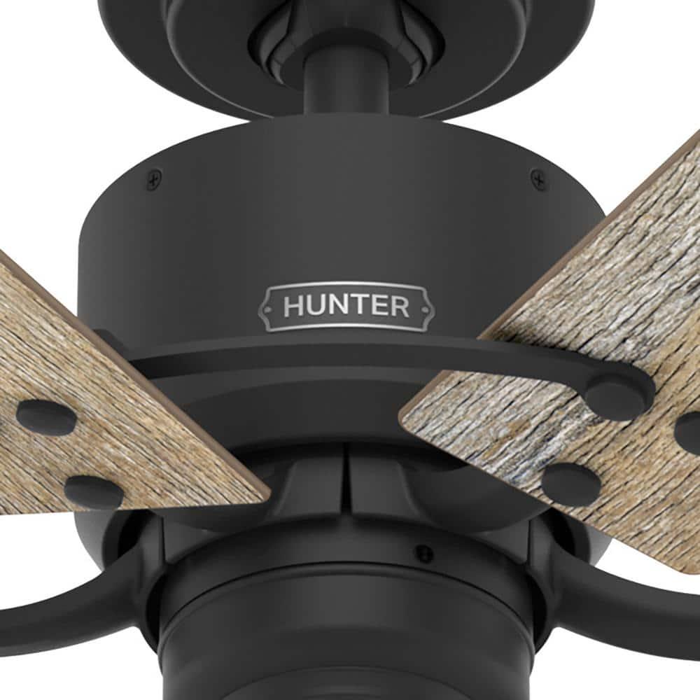 Hunter Barrel 52 in Indoor Matte Black Ceiling Fan