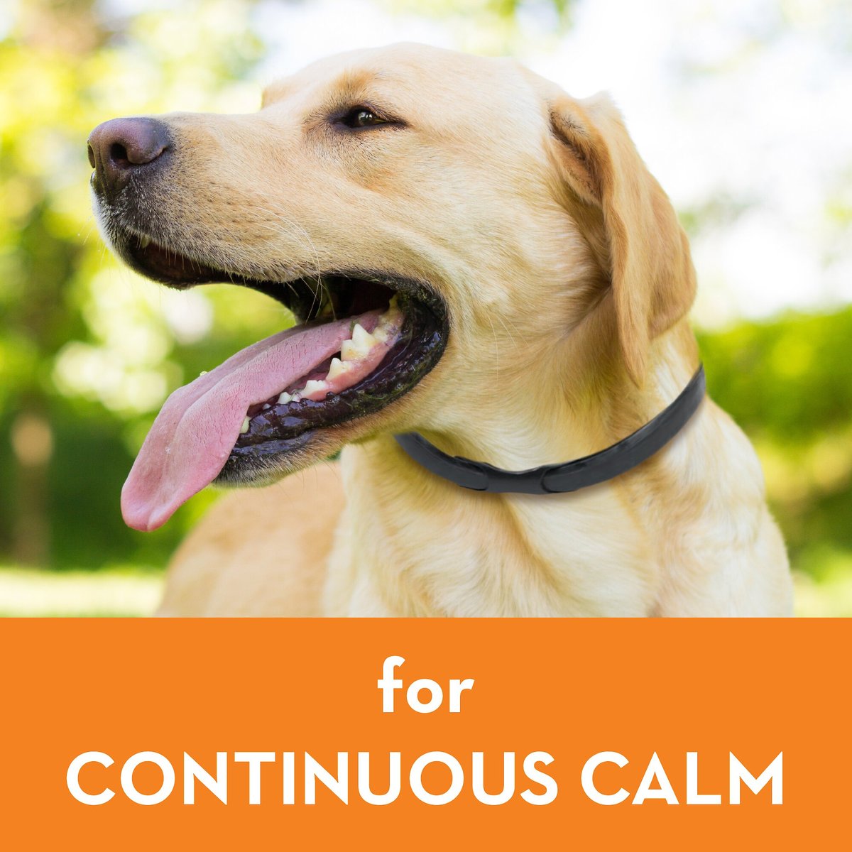 ThunderEase Calming Collar for Dogs