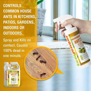 ECOVENGER Ant Insect KillerRepellent by EcoRaider 32OZ Instant Kill 4-Week Deterrence Plant-Based ChildPet-Safe EH1RM50032