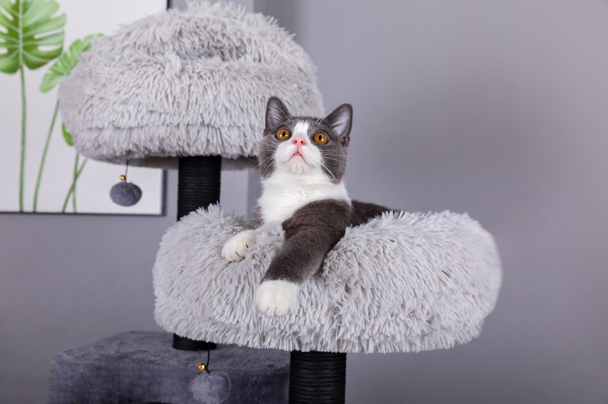 Catry 63-in Faux-Fur Cat Tree and Condo