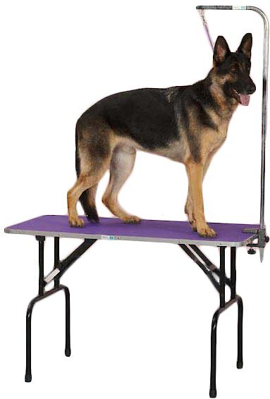 Master Equipment Dog Grooming Table with Arm