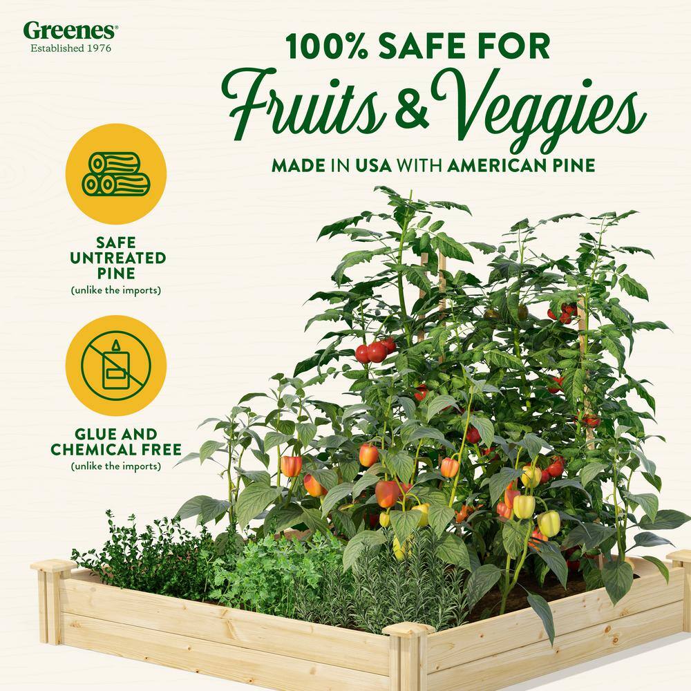 Greenes Fence 4 ft. x 4 ft. x 7 in. Original Pine Raised Garden Bed RCP4C4