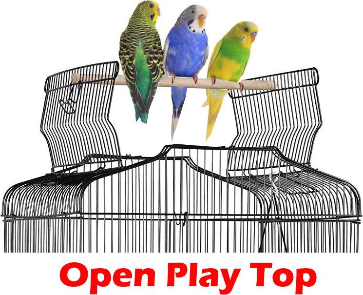 Large 36  Portable Hanging Travel Open Top Bird Flight Cage With Play Toys and 10Step Cross Ladder for Parakeets Finches Canaries Lovebirds Small Quaker Parrots Cockatiels Budgie Green Cheek Conure  Crowdfused