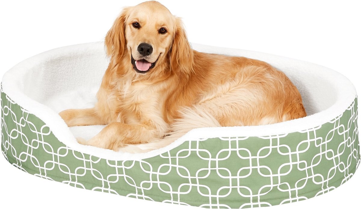 MidWest QuietTime Defender Orthopedic Bolster Cat and Dog Bed w/ Removable Cover， Green