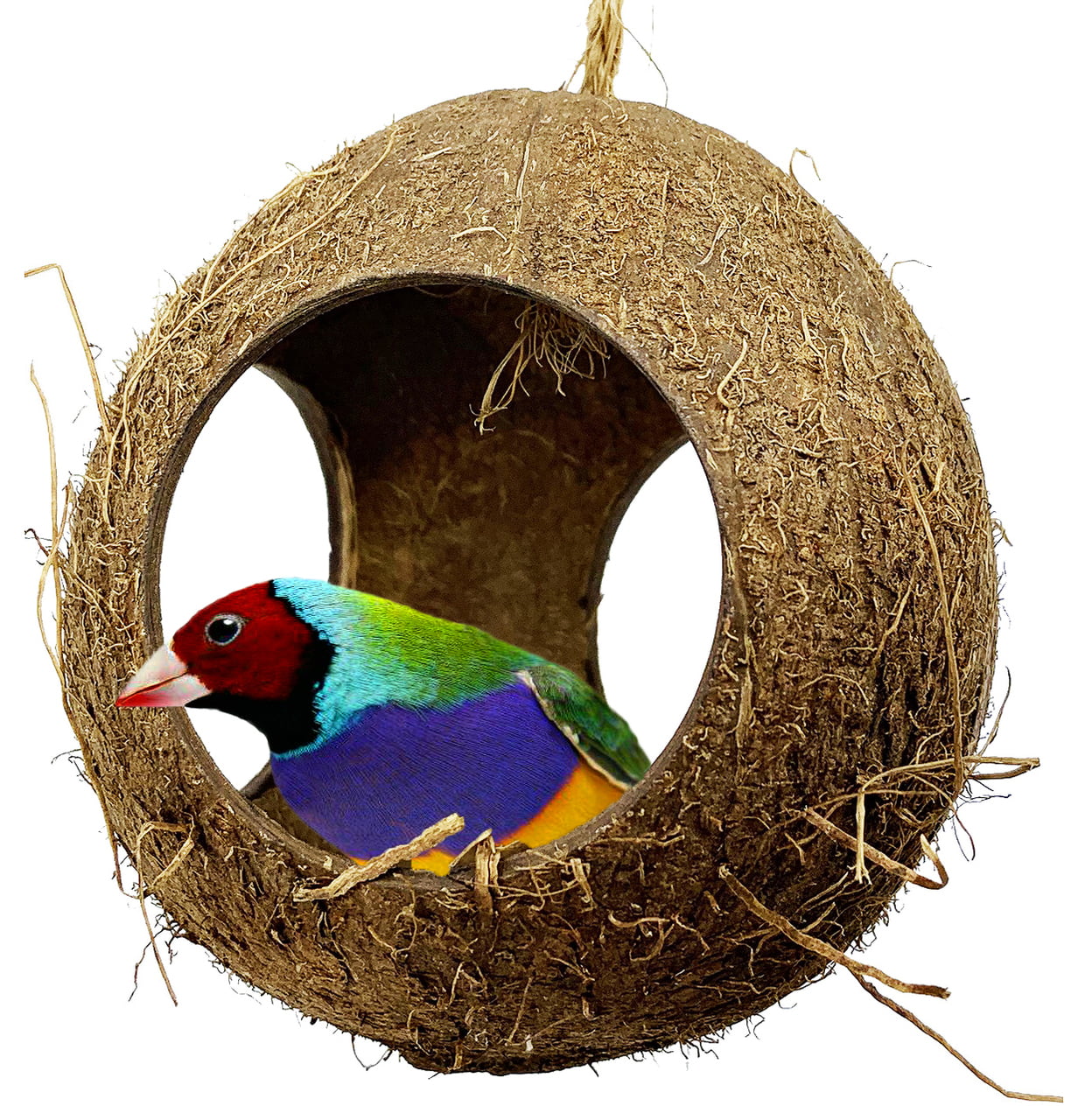 Bonka Bird Toys 2114 3 Hole Coco Hut