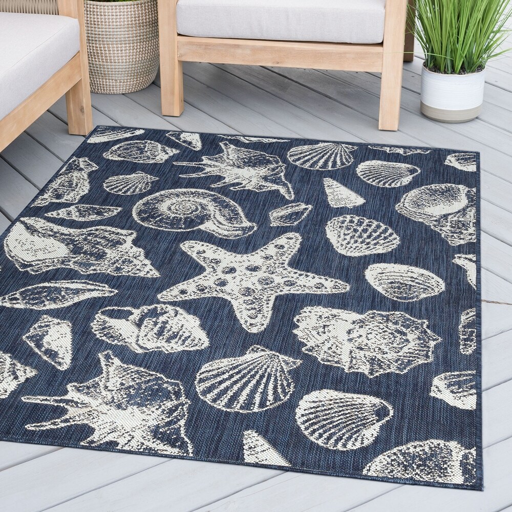 Exo Coastal Graphic Print Indoor/Outdoor Area Rug