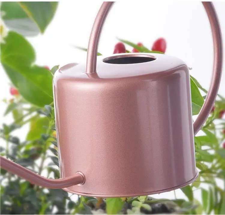 1L metal garden water can Stainless Steel indoor outdoor Water pot Long Spout Watering Can