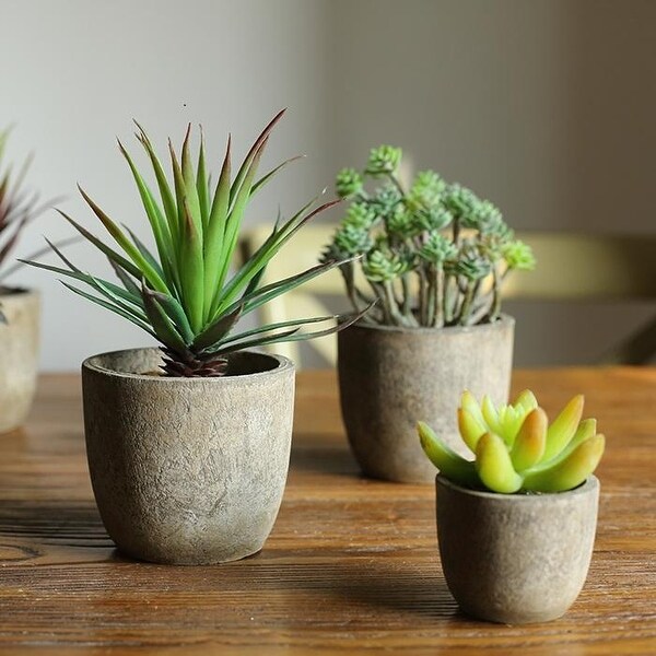 RusticReach Artificial Small Succulent Planter Randomly Picked Set of 5