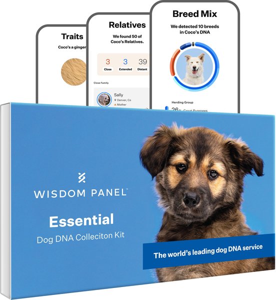 Wisdom Panel Essential Breed Identification DNA Test for Dogs