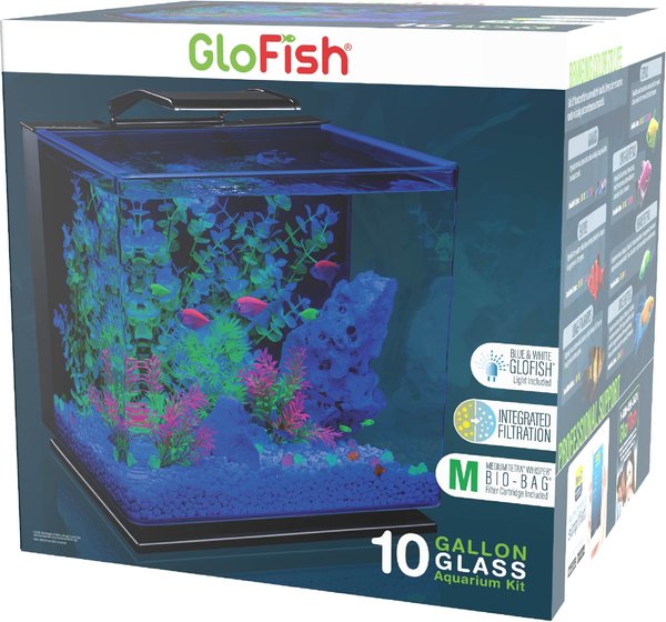 GloFish Glass Aquarium Kit， 10-gal