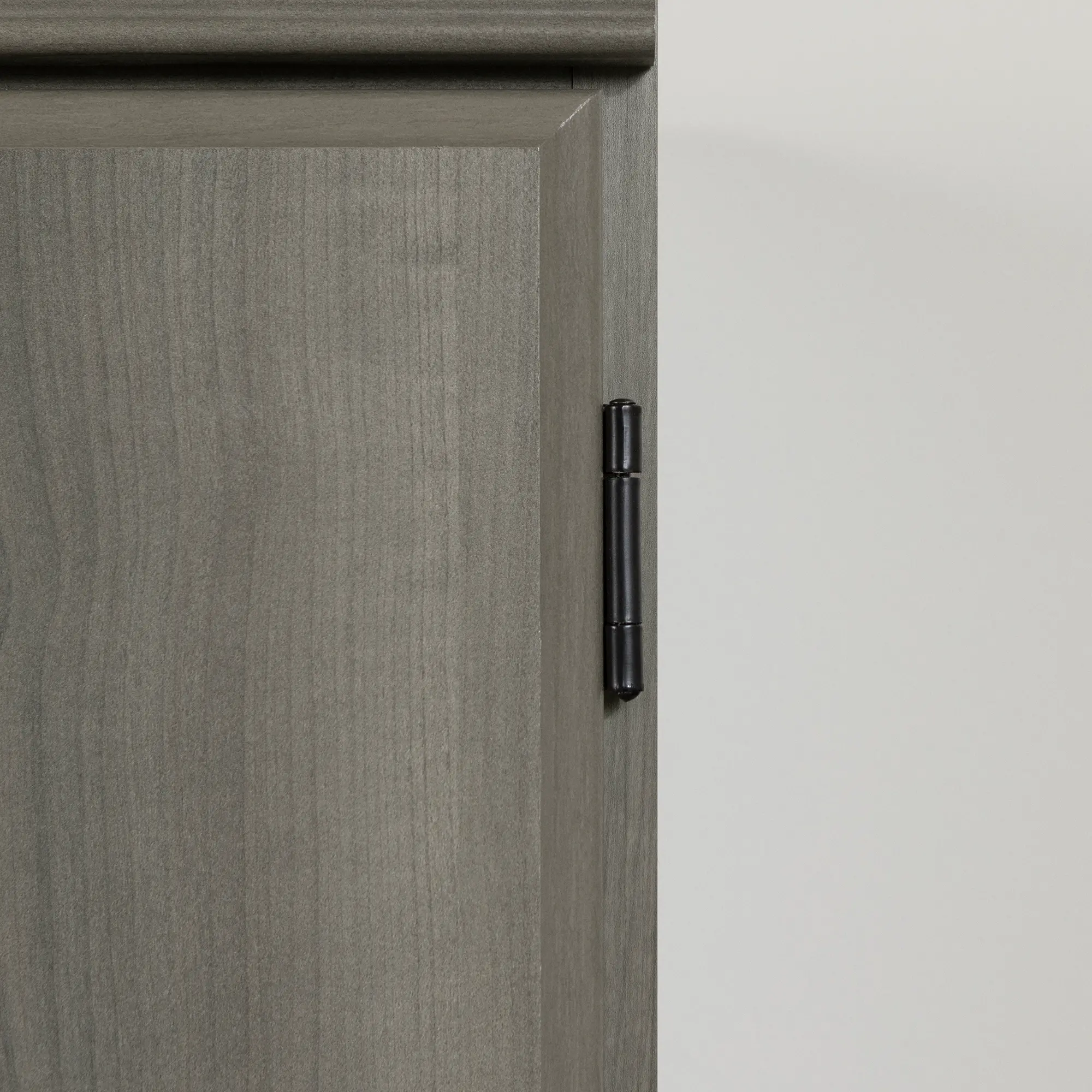 Farnel 2-Door Gray Maple Storage Cabinet