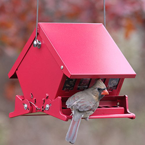 1PK Audubon Mini Absolute II Squirrel Proof Hopper Bird Feeder Roof Locks