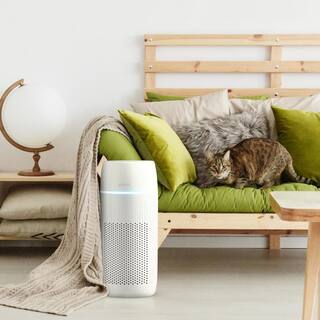 HoMedics PetPlus True Hepa Air Purifier with UV-C Technology AP-PET35-WT