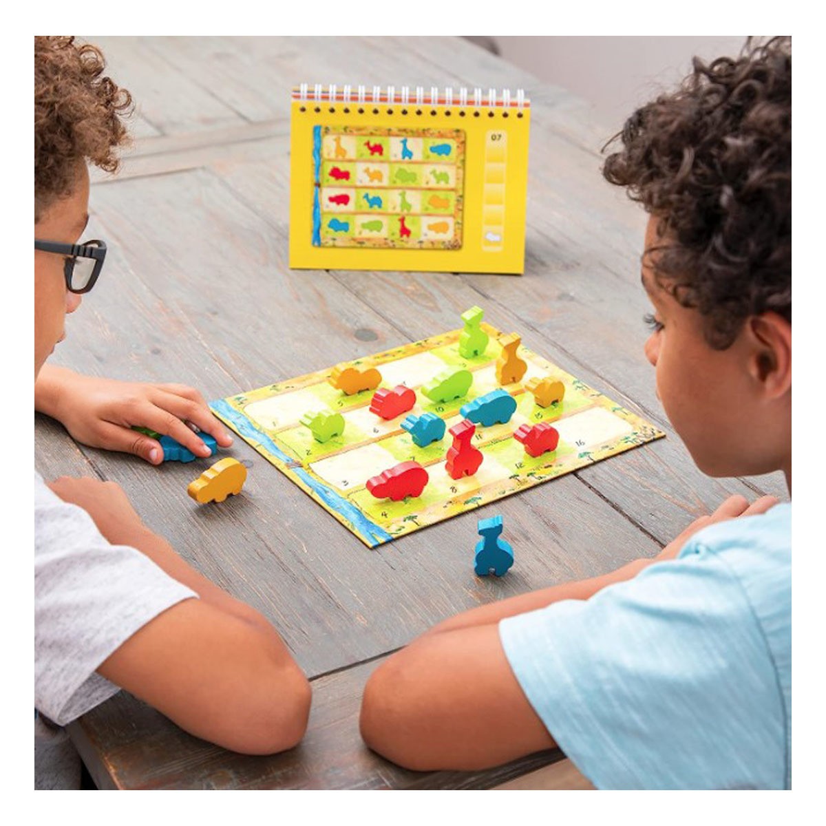 Fat Brain Toy Company AnimaLogic Game