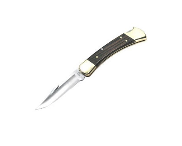 Buck 110 Folding Hunter Knife