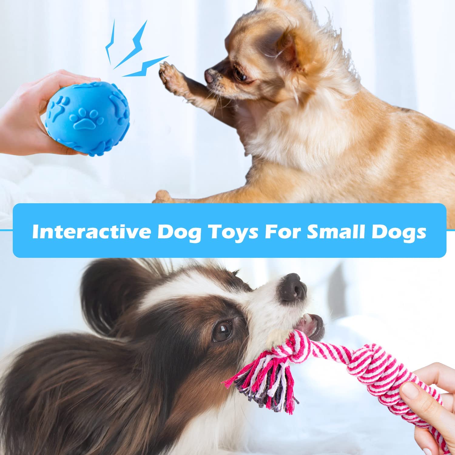 Heibizi Puppy Toys for Teething Small Dogs， Dog Toys for Small Dogs， Puppy Teething Chew Toys， Small Dog Toys Pack with Stuffed Squeaky Toys， Dog Ball， Ring Toy， Rope Toy， Dog