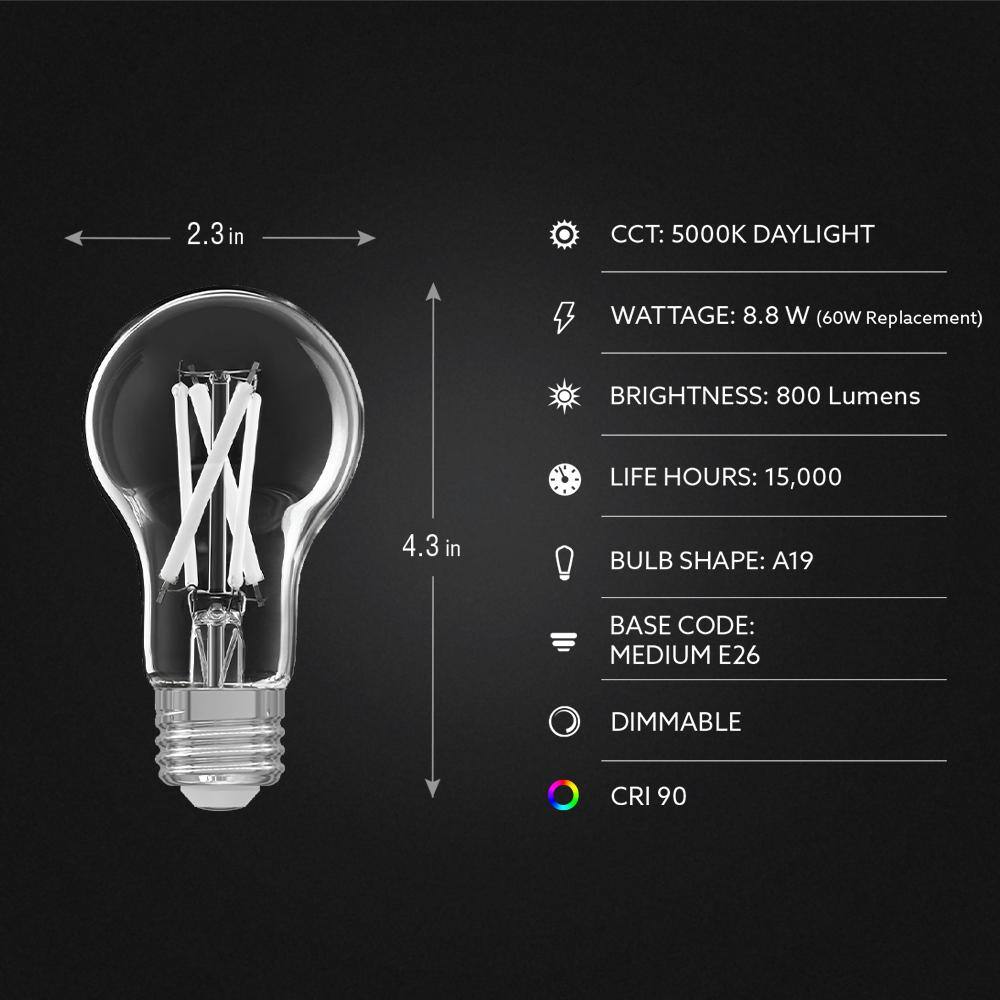 EcoSmart 60-Watt Equivalent A19 Dimmable White Filament CEC Clear Glass LED Light Bulb Daylight (2-Pack) A1960950CAWFILECP2