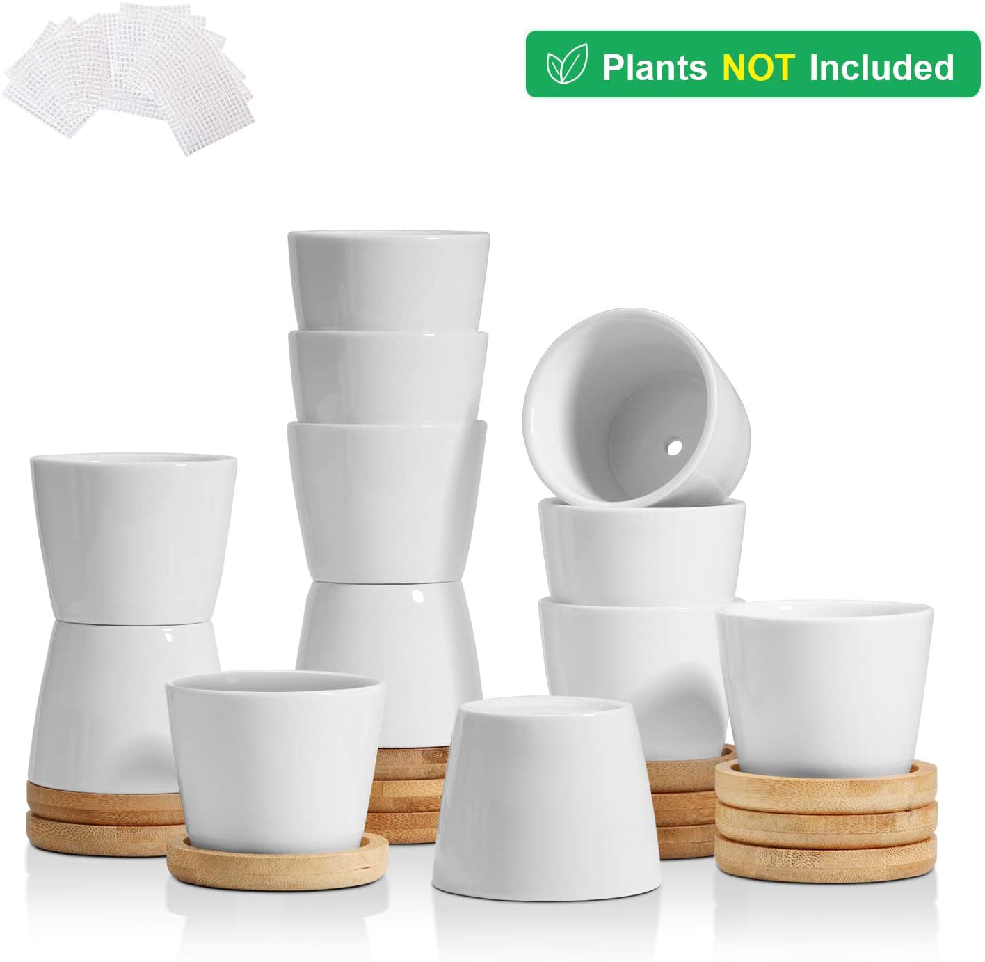 T4U 2.5 inches Small White Succulent Plant Pots Ceramic Succulent Planters with Bamboo Trays, Round, Set of 12