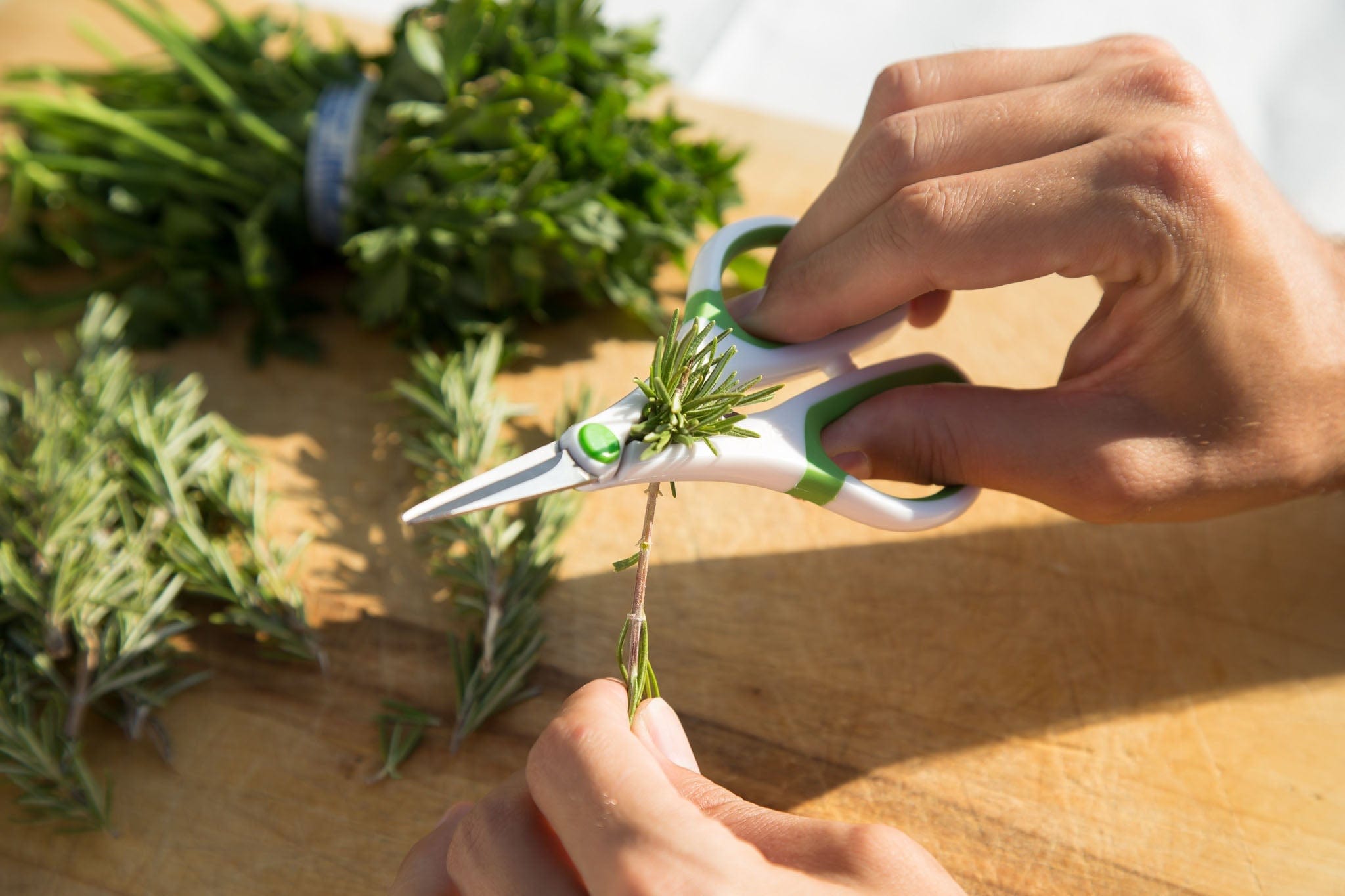 Herb Snipper Scissors