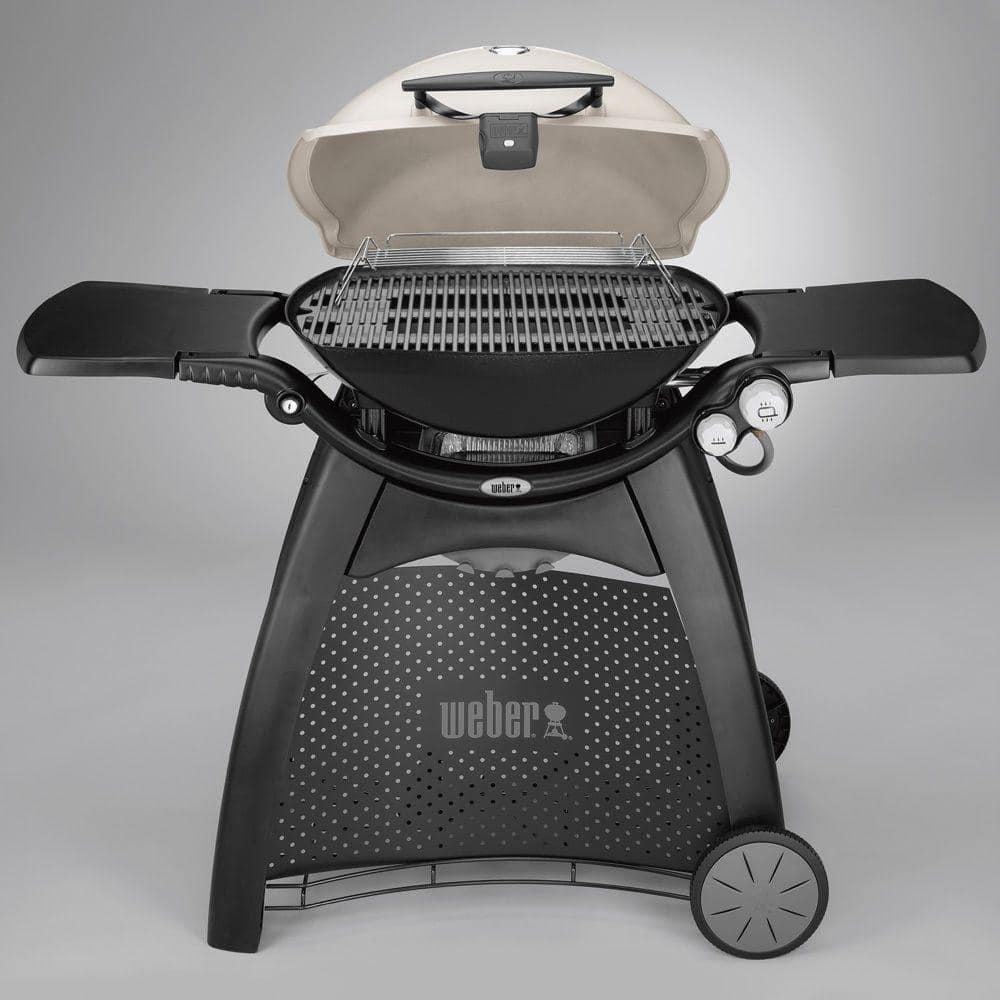 Weber Q 3200 2Burner Propane Gas Grill in Titanium with BuiltIn Thermomter