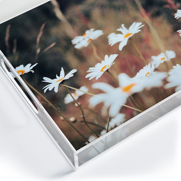 Hannah Kemp Field Of Daisies Acrylic Tray Deny Designs