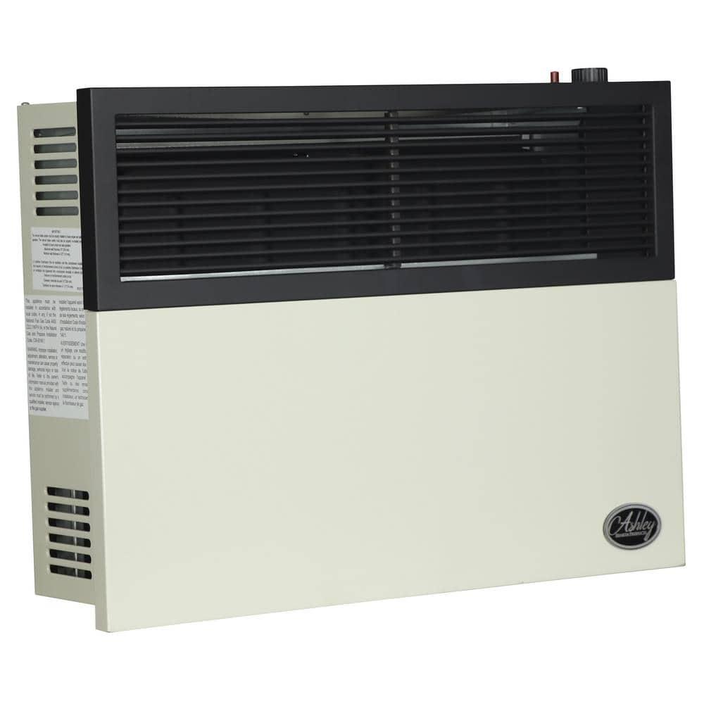 Ashley Hearth Products 17000 BTU Direct Vent Natural Gas Heater