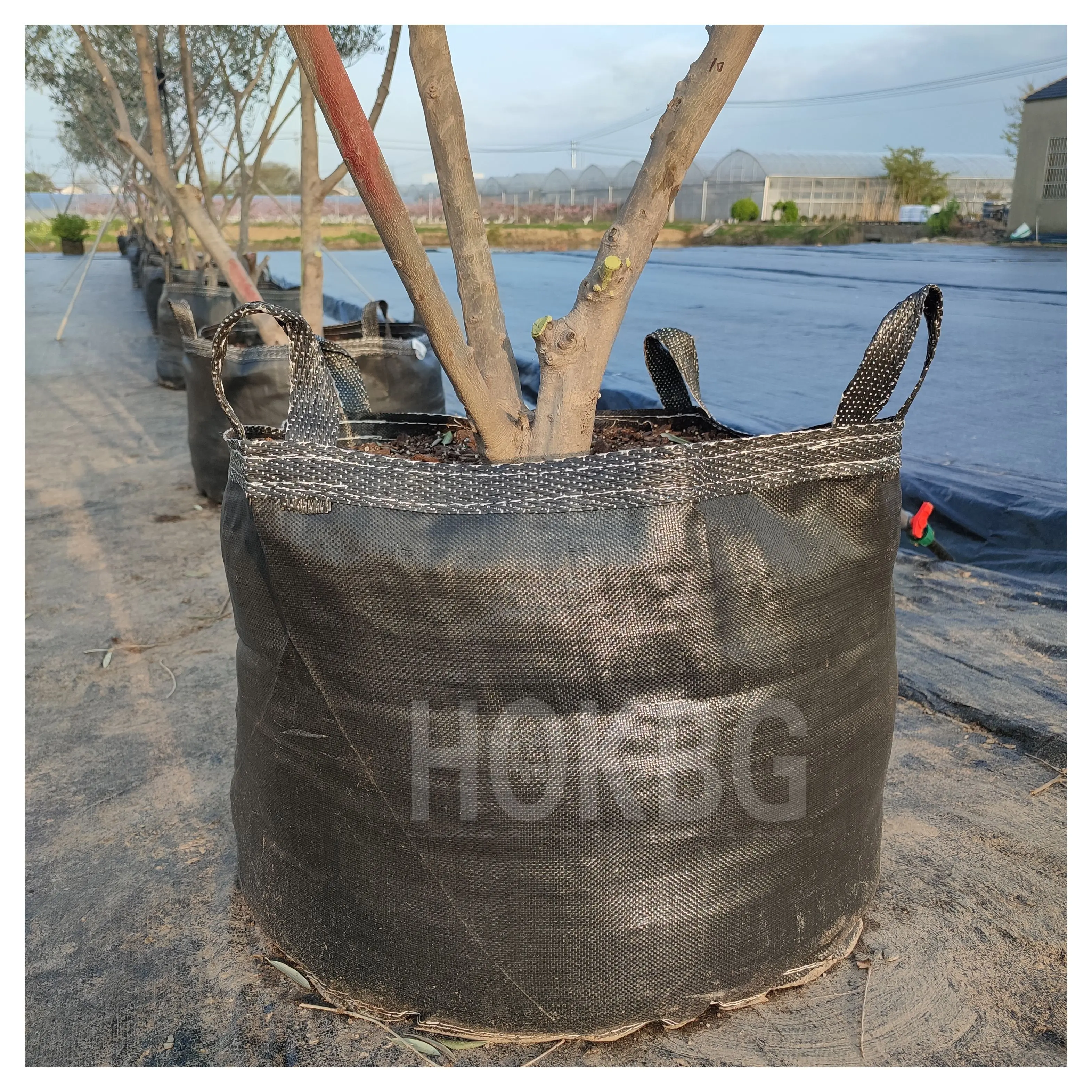 HOKBG 5 10 50 100 500 1000 Gallon Anti UV durable Plastic garden supplies planting pot  Olive Fruit Tree  Nursery Grow bag