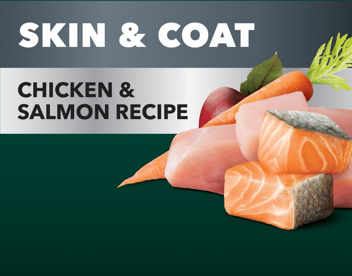 Iams Advanced Health Skin and Coat Chicken and Salmon Recipe Adult Dry Dog Food