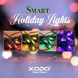 Xodo Smart Christmas Lights OutdoorIndoor 35 ft. Plug-In Globe Bulb LED String Light Compatible with AlexaGoogle Assistant DL1