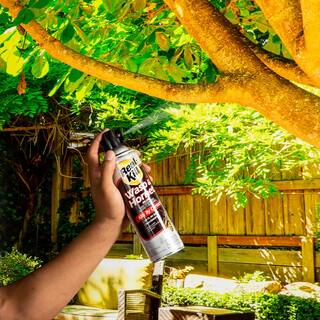 Real-Kill 15 oz. Aerosol Wasp and Hornet Killer HG-96321-1