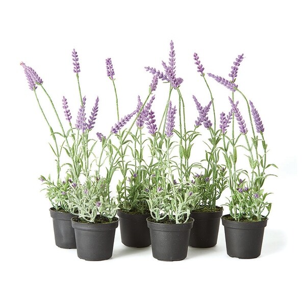 French Lavender DropIn 13，Set Of 6