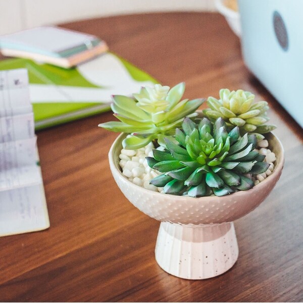 Artificial Plant Succulent Mix in Two Tone Bowl Ceramic Planter