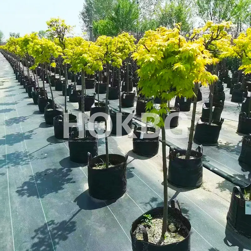 HOKBG wholesale 20 Gallon PP woven black fabric nursery planting pots for Outdoor garden seedling trees Nursery grow Bags