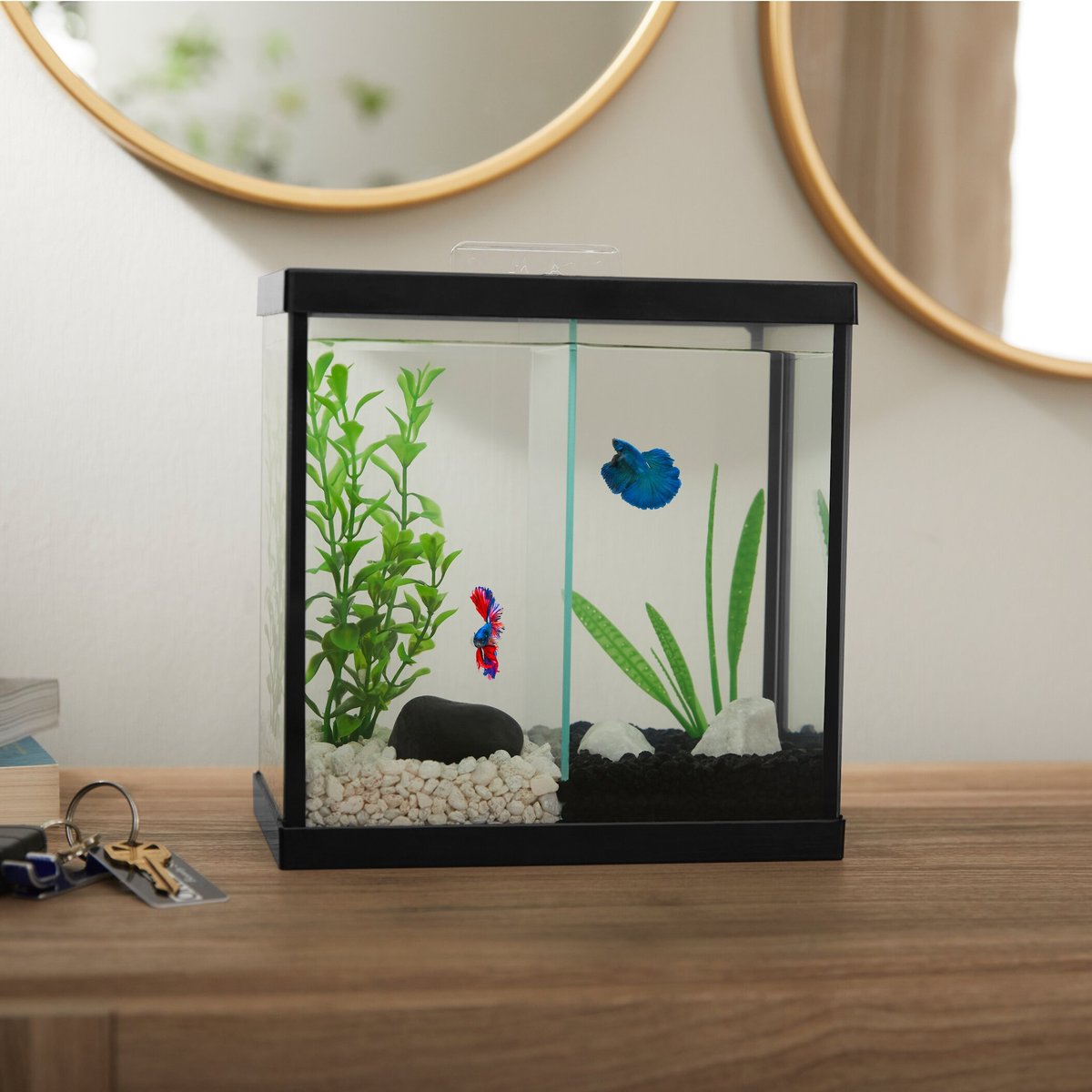 Frisco 2 Betta Aquarium with Divider/Top