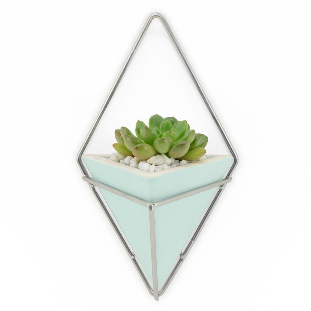 Arcadia Garden Products Diamond 6 in. x 10 in. Mint Matte Ceramic Wall Planter WP36M