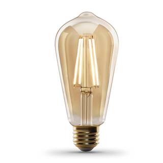 Feit Electric 60-Watt Equivalent ST19 Dimmable Straight Filament Amber Glass Vintage Edison LED Light Bulb Warm White (16-Pack) ST19LEDHDRP44