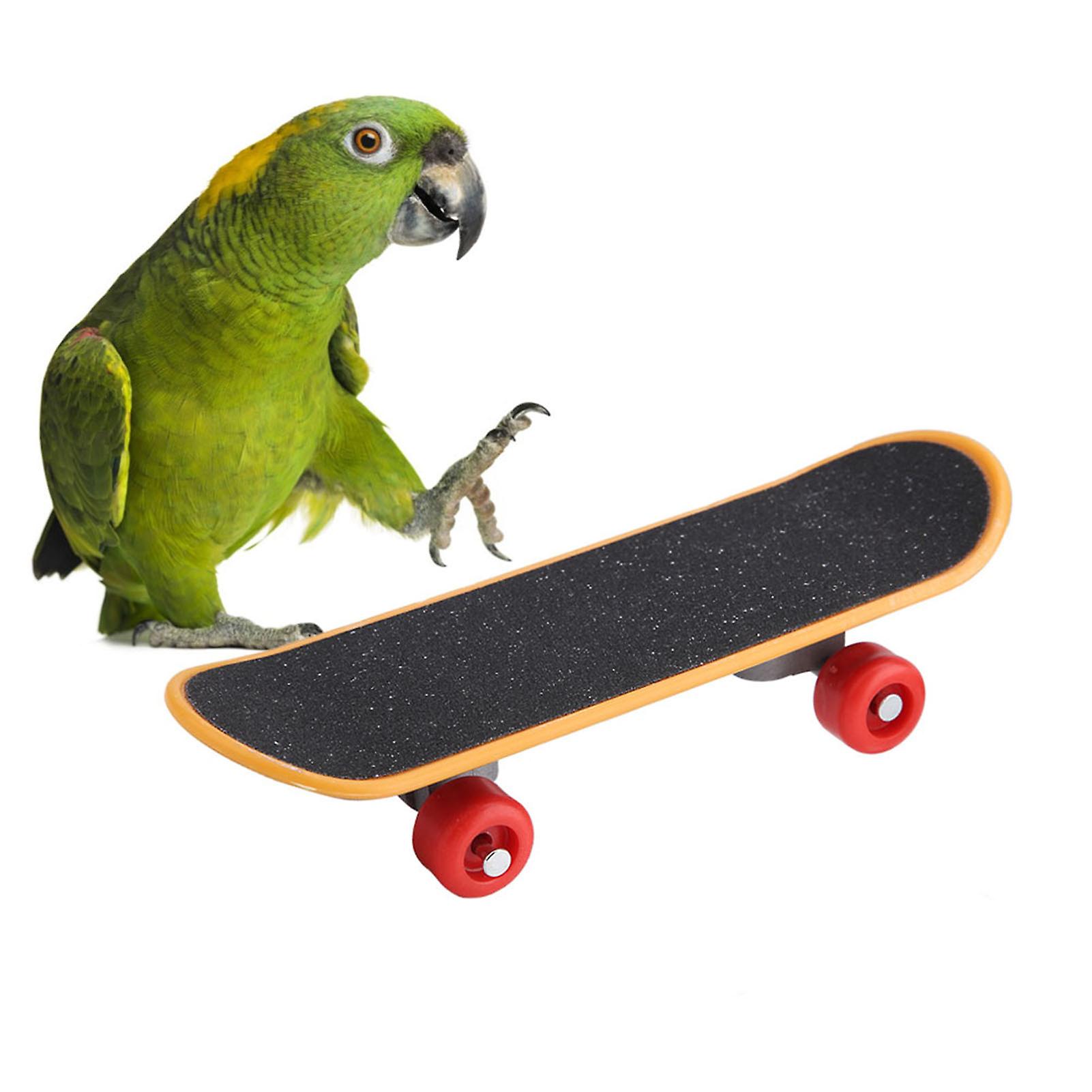 1pc Parrot Skateboard Perch Stand Bird Funny Training Playing Interaction Toy