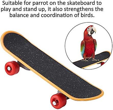 Bird Parrot Intelligence Toys Mini Training Skateboard For Budgies， Parakeet Cockatiel Lovebird Conure Small And Medium Bird Funny Perch Toy