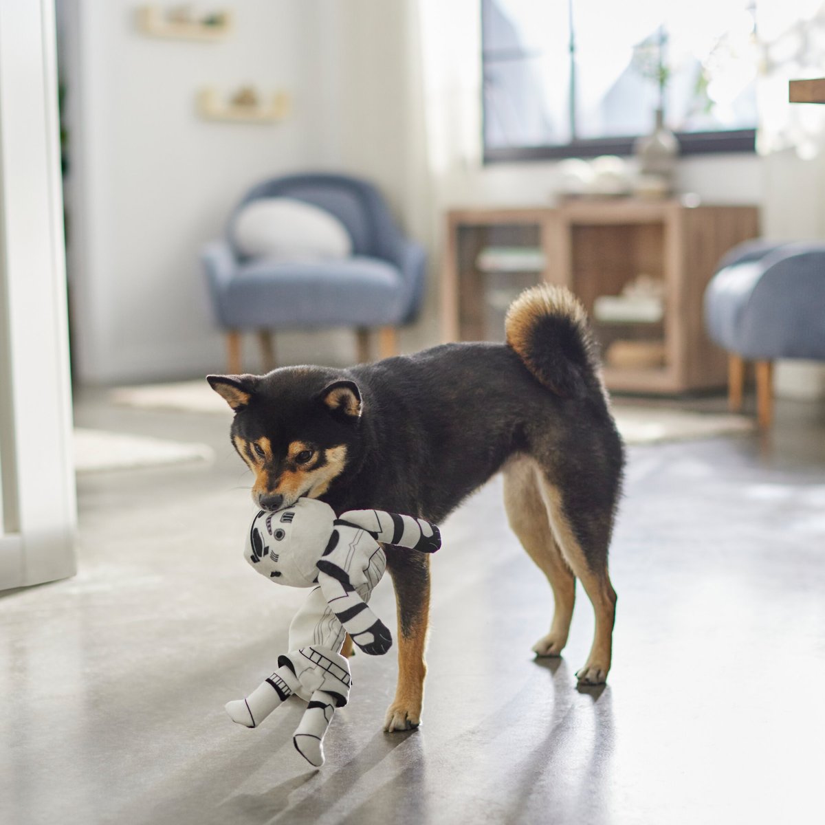 STAR WARS STORMTROOPER Bungee Plush Squeaky Dog Toy