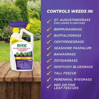 IMAGE 32 oz. Southern Lawn Weed Killer Ready-To-Spray 100530415