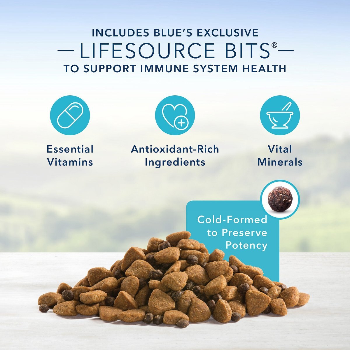 Blue Buffalo Life Protection Formula Large Breed Senior Chicken and Brown Rice Recipe Dry Dog Food